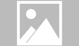 林州爆料新闻网站最新,聚焦民生热点，揭示社会现象