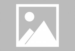 小胖爆料狼队阵容最新,小胖爆料最新阵容一览